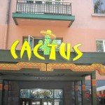 Cactus